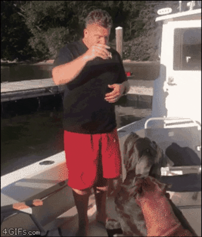 To the water feeding the dog - VideosGifs.Net
