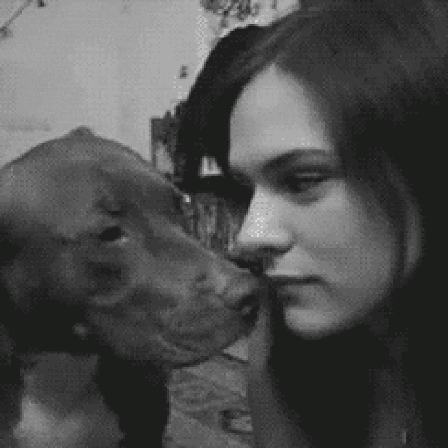 Dog kisses gif