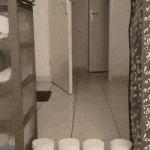 Gato saltando Papel Toalete