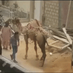 Nunca juegues con un Camello