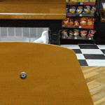 Pájaro agarra comida en tienda