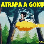 Atrapa a Goku en el momento exacto