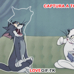 Atrapa al Gato Tom