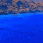 Mar azul agua cristalina y tiburón