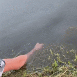Pescando con la mano