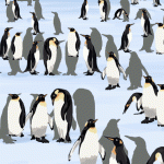 Atrapa a los Pingüinos