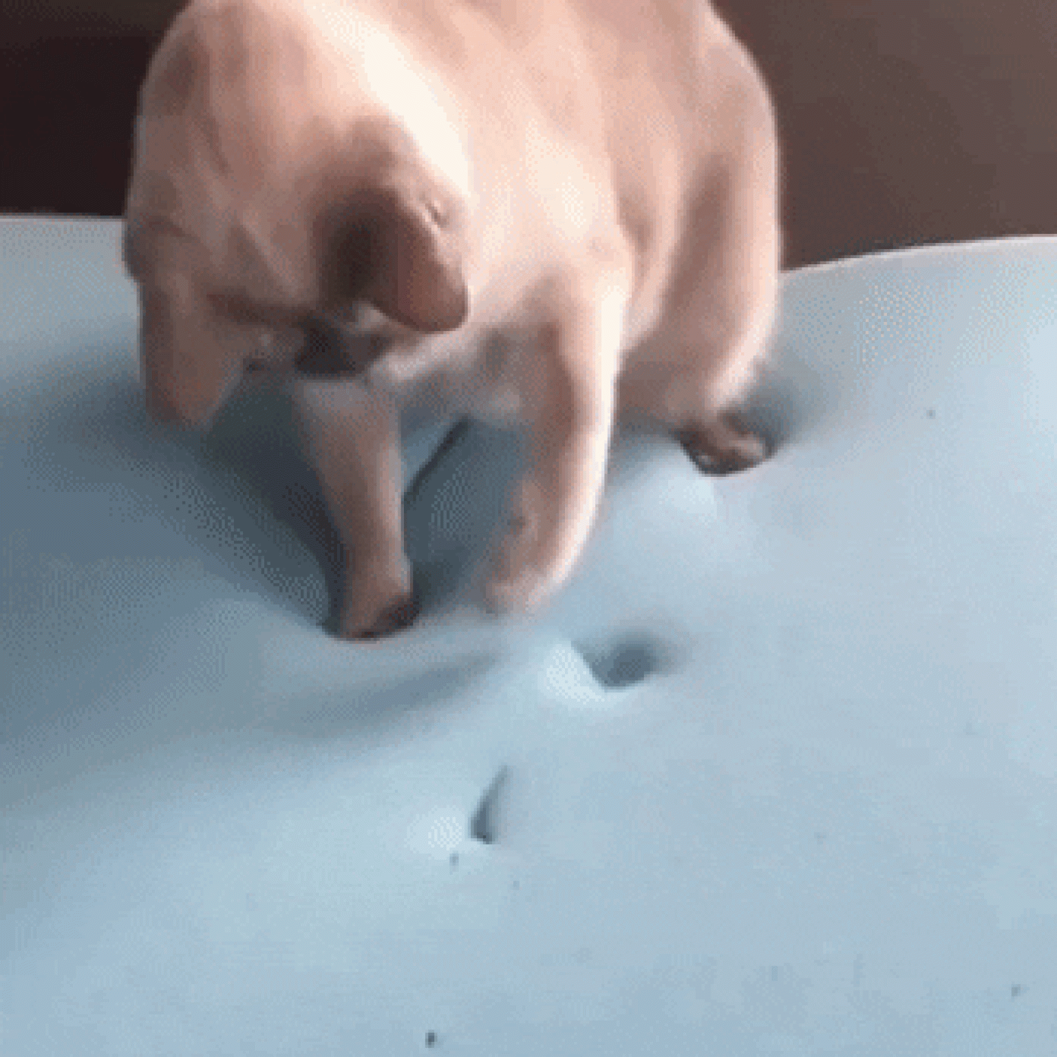 Gato en goma espuma