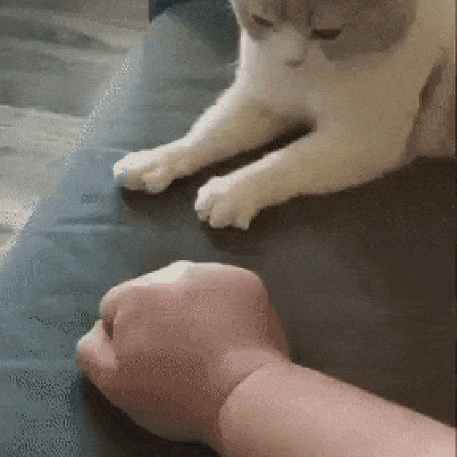 Yo también puedo hacer eso humano