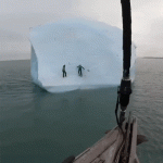Vamos a escalar este iceberg, no pesamos tanto para voltearlo