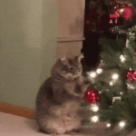 Cat and christmas tree