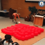 Dog and 100 balloons