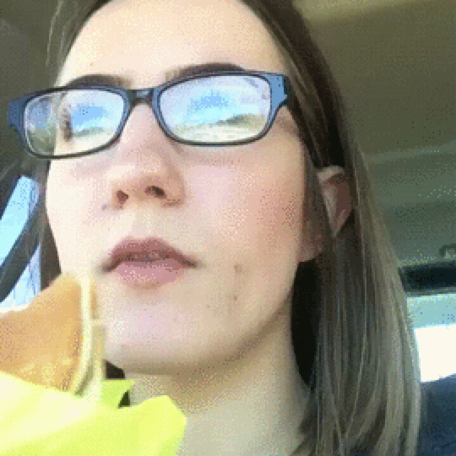 Dog eating hamburgers