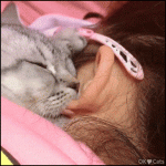 kitty biting ear