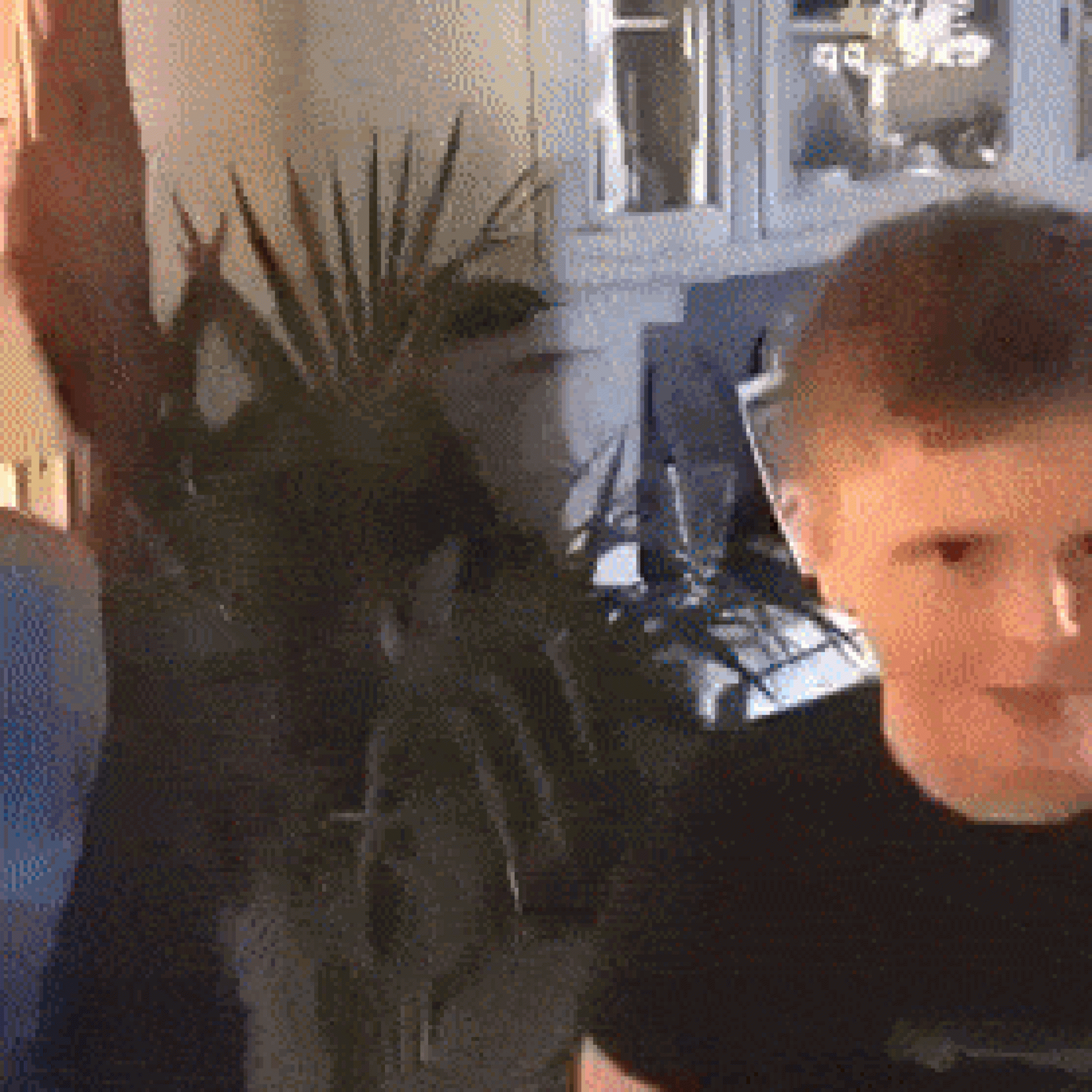 Ariana Marie GIF: An Unexpected Reaction!