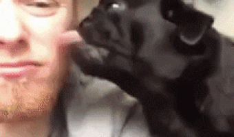 See if you like the same