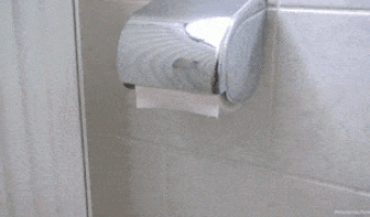 Toilet Paper Animation
