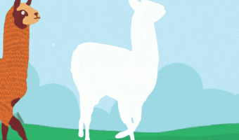 Catch the Alpaca del Campo