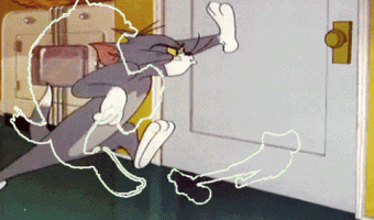 Catch Tom and Jerry