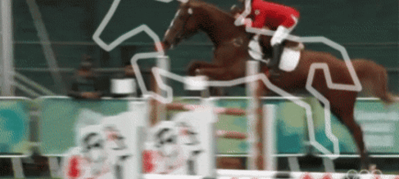 Catch the Jumping Horse
