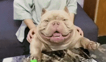 Catch it and it’s yours