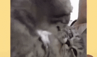 U can have my body but not my heart