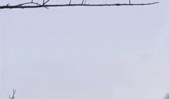 Dude got skill