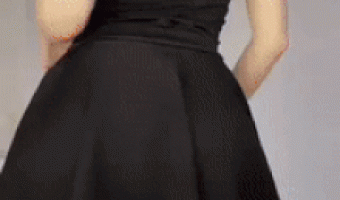 Cat hides the camera