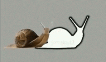 Catch the snail