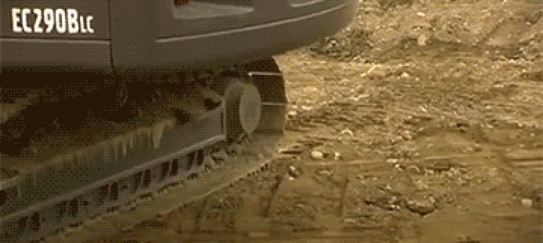 Baby excavator hatching in its natural habitat