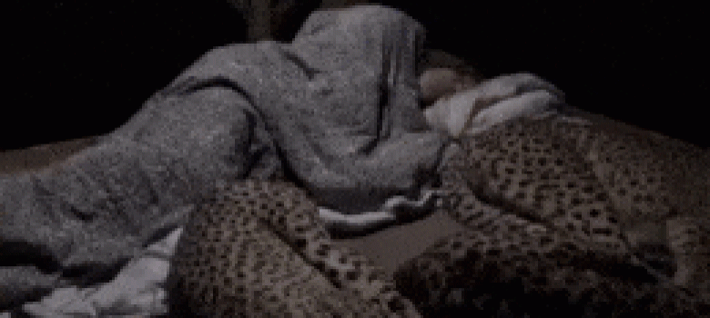 Cheetah had a bad dream
