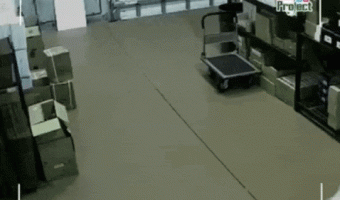 How to keep an idiot busy