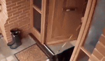 When you walk the dog after days without going out