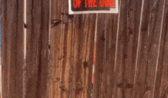 Beware of the Dog
