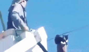 Leave me alone human