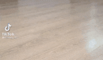 Dog and costume