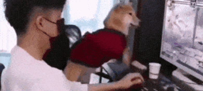 Dog playing video game