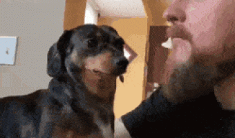 This Dog Taking A Couple Seconds To Process The Received Love