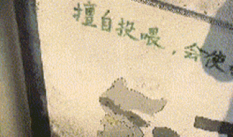 Dont give them treats