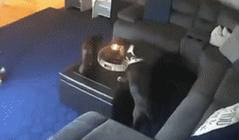 Dont worry i have 7 lives