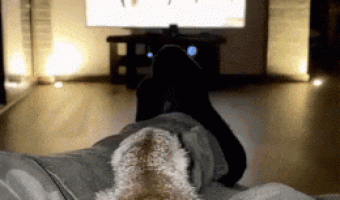 Dude!!! What do we do now?!