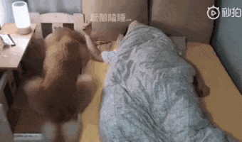 Sleeping with the dog