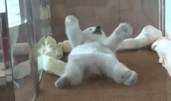 Me every morning