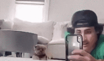 The sweetest attack I’ve ever seen