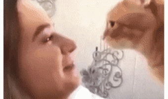 The Meow Dance