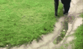 He knows what he’s doing