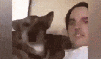 In love with his dog