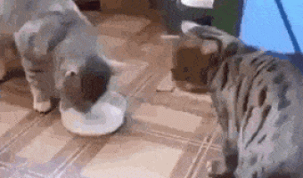 It’s mine, it’s not mine