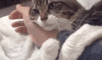 Gano doesn’t want the human to leave