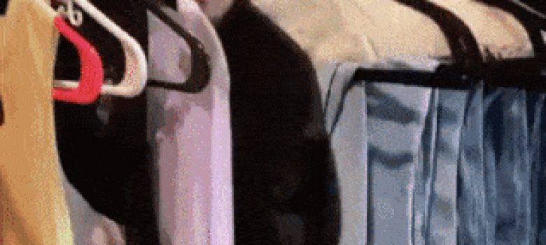 Cat in Clothes Closet