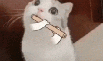 Cat and flute